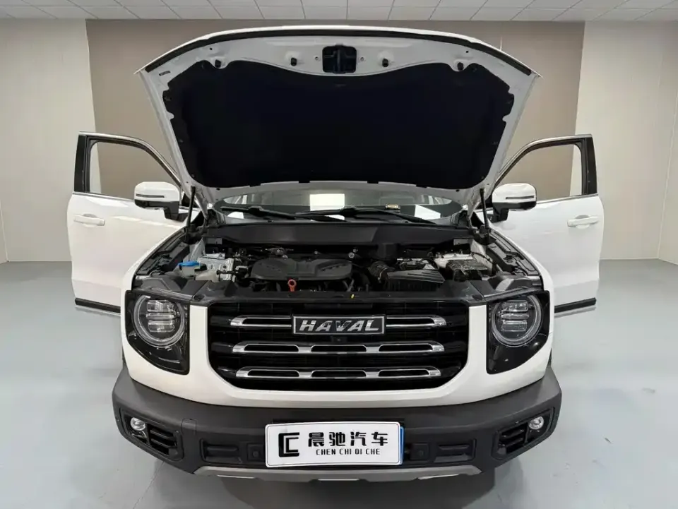 Haval Big Dog