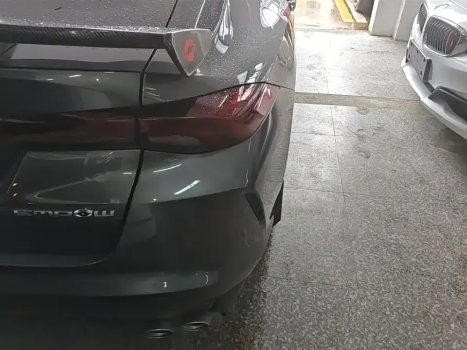 GAC Shadow Leopard