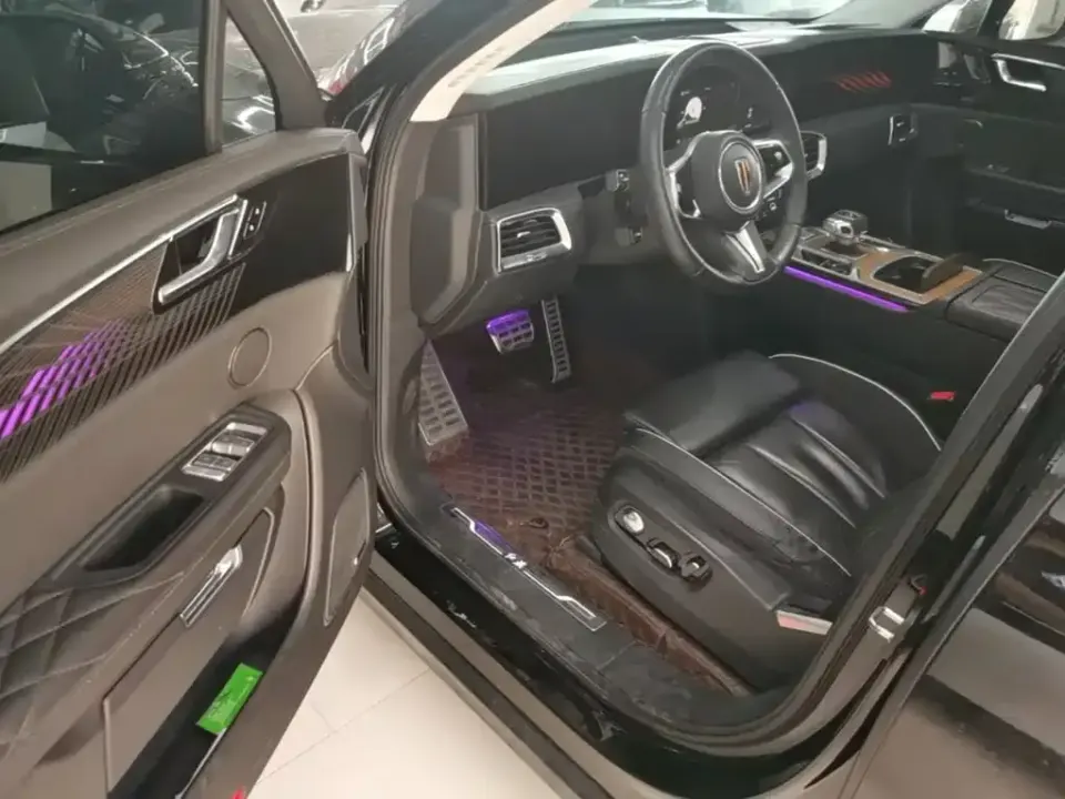 Hongqi Hongqi E-HS9