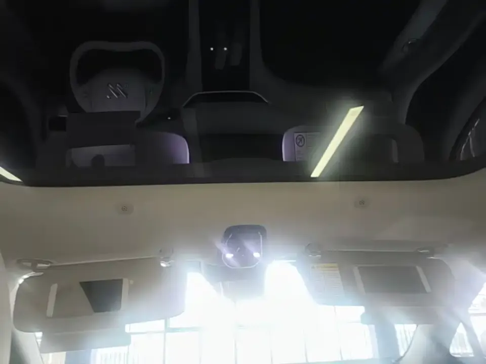 IM Motors IM LS6