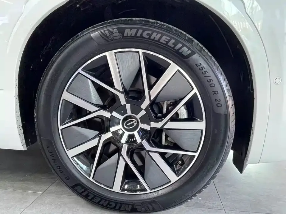 GAC Trumpchi Xiangwang S9