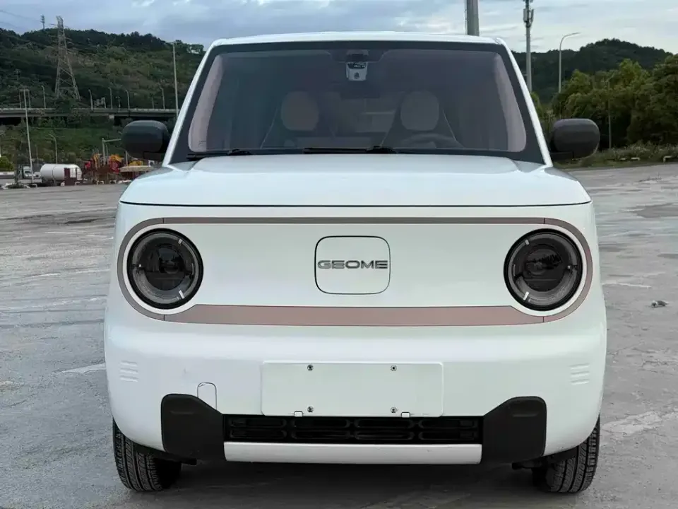 Galaxy Panda