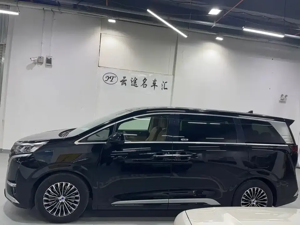 Denza Denza D9