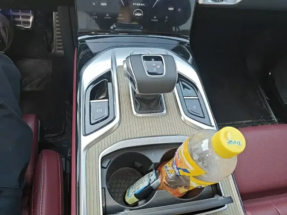 Hongqi Hongqi E-HS9