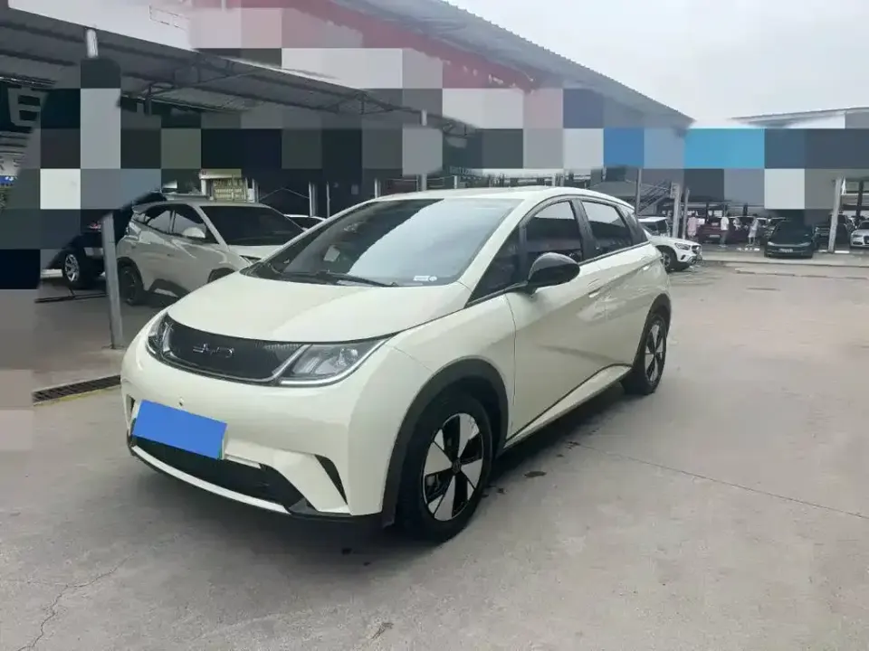BYD Dolphin