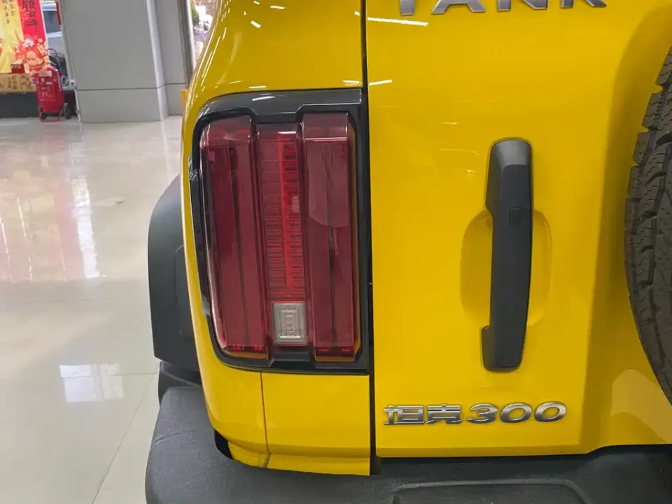 Tank 300