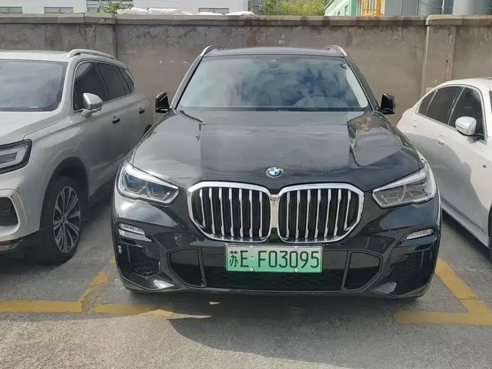 BMW X5 New Energy (Import)