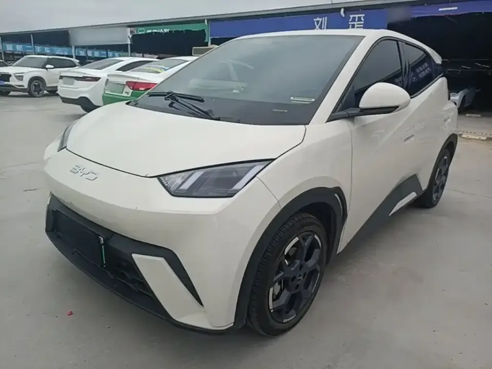 BYD Seagull
