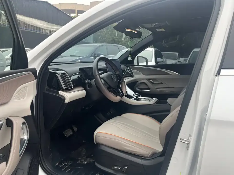 BYD Pro New Energy