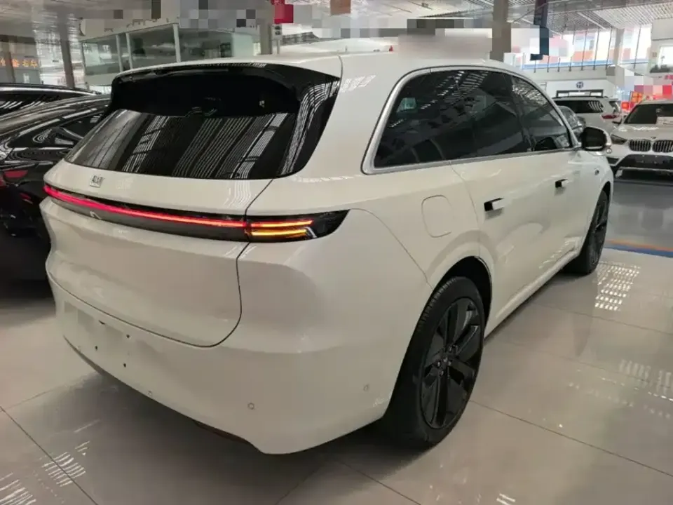 Li Li L6