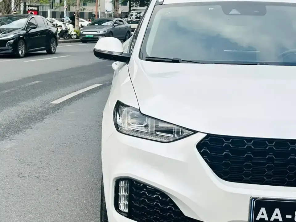 WEY Wey VV6