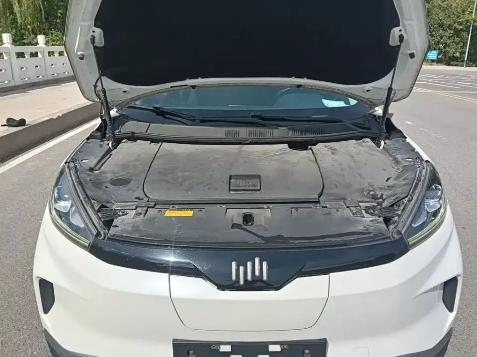 WM Motor EX5