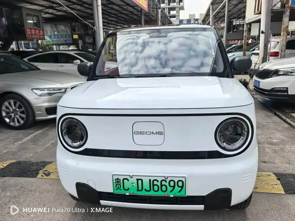 Galaxy Panda
