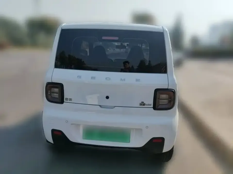 Galaxy Panda