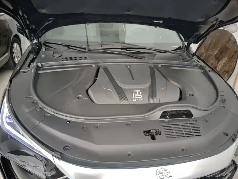 BYD Tang New Energy