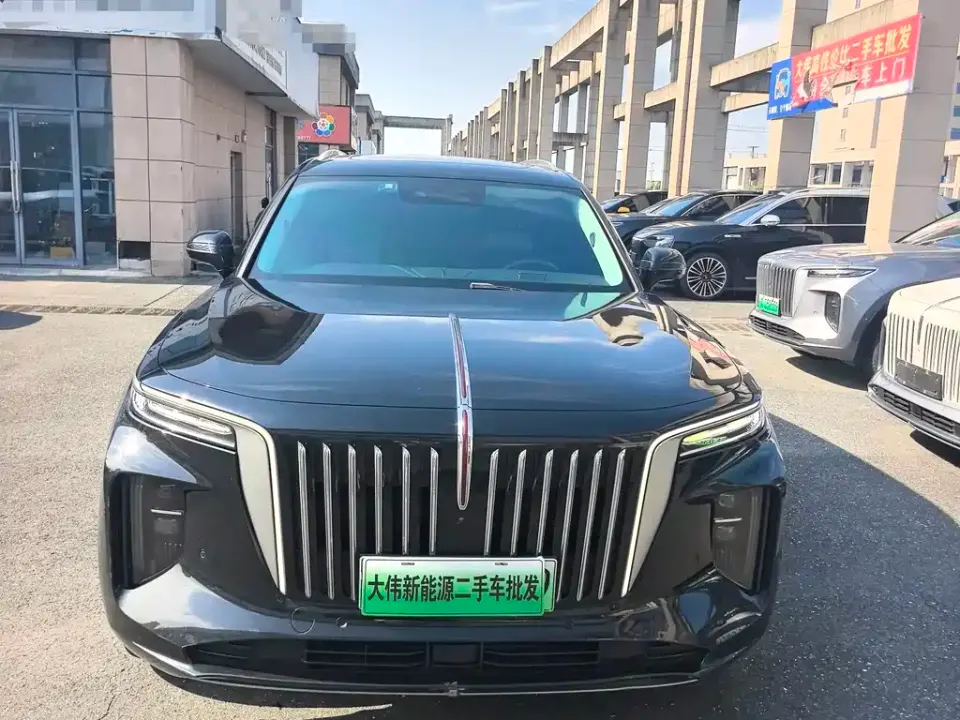 Hongqi Hongqi E-HS9