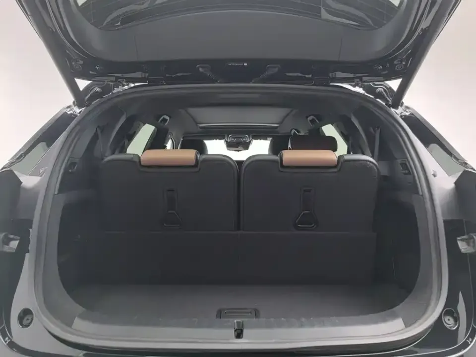BYD Tang New Energy