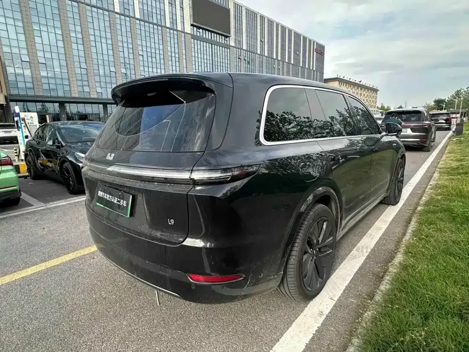 Li Li L9
