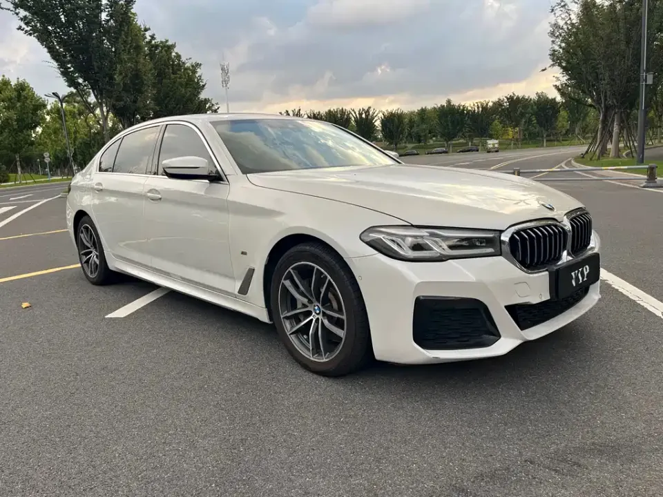 BMW 5 Series New Energy