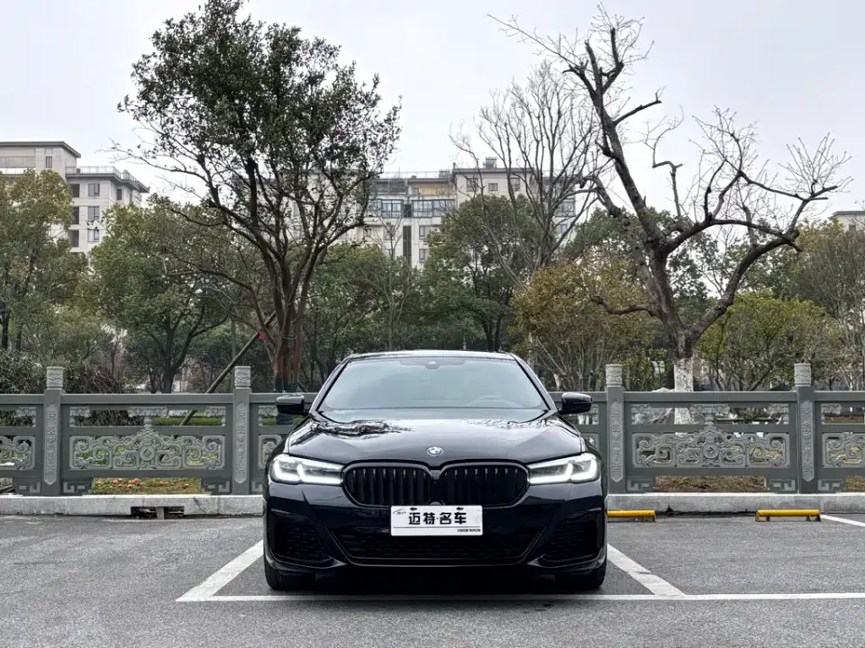 BMW 5 Series (Import)
