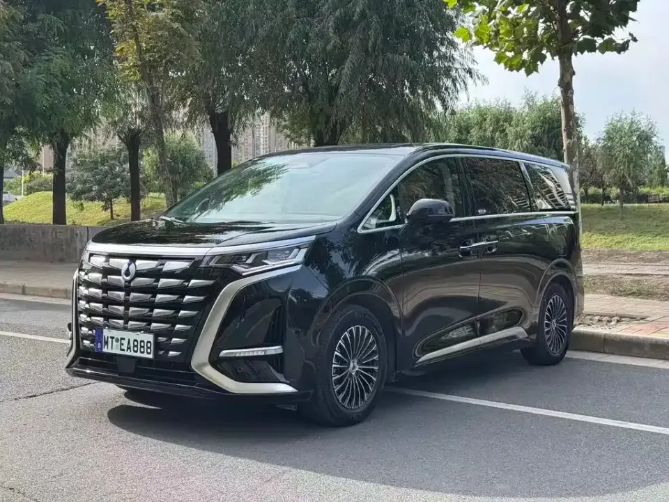 Denza Denza D9