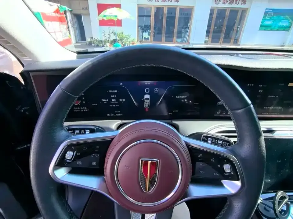 Hongqi Hongqi E-HS9