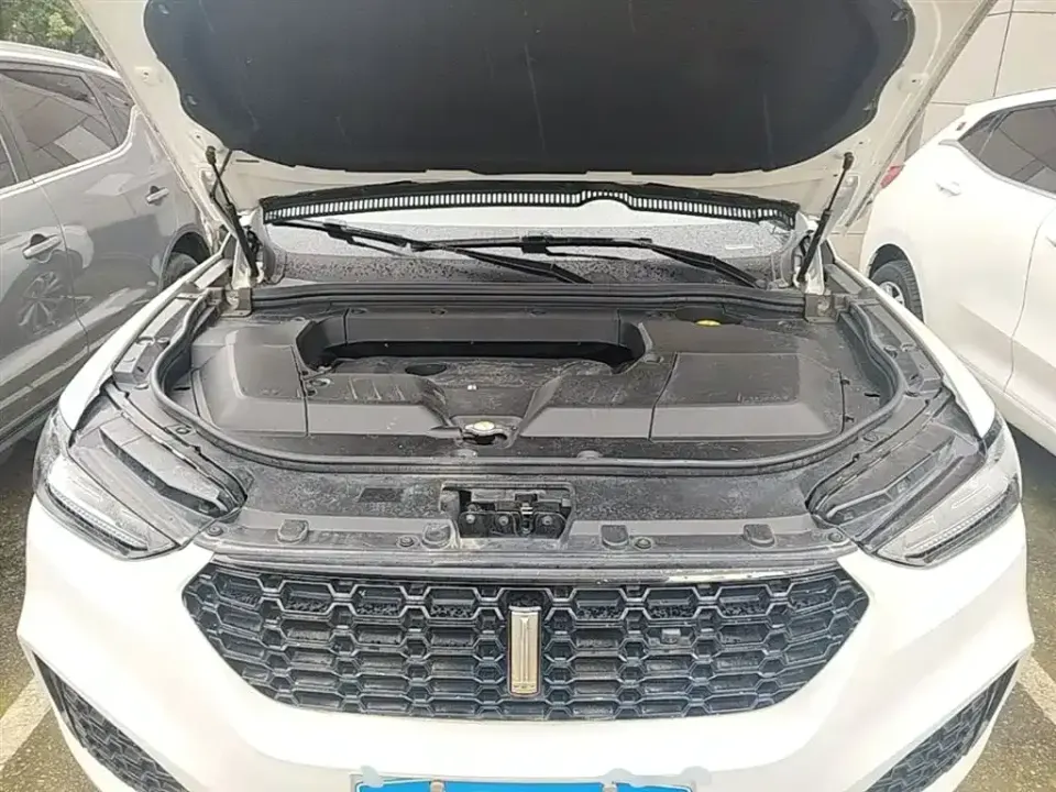 WEY Wey VV6