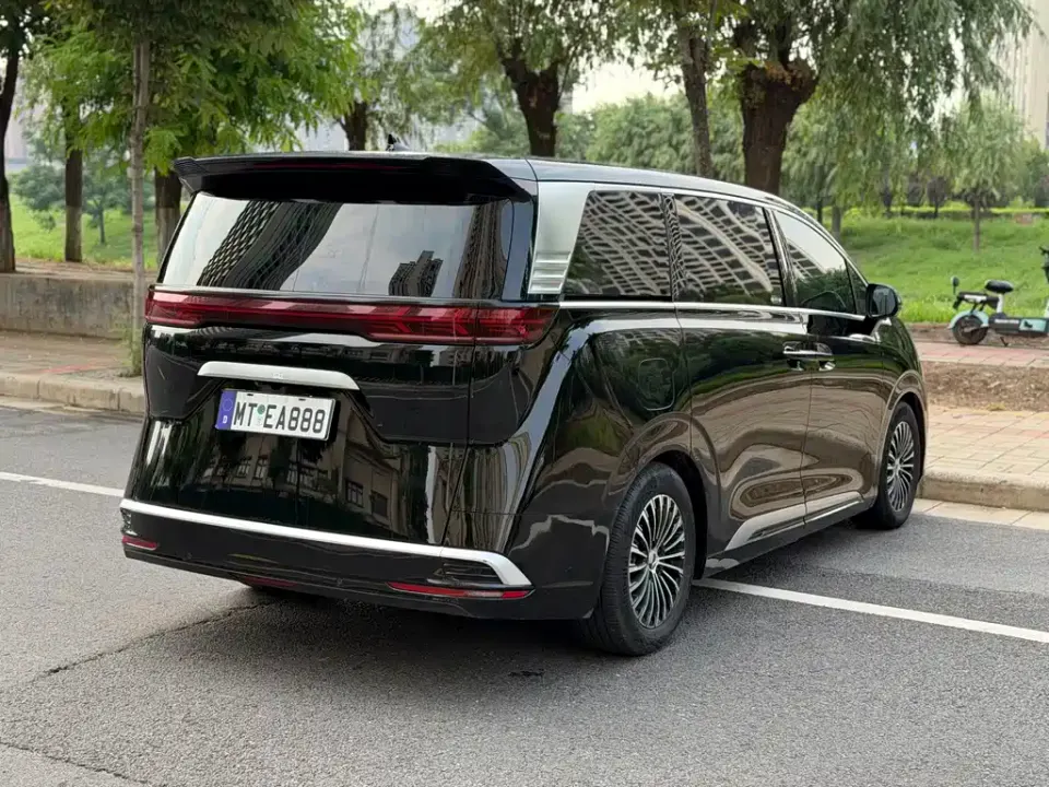 Denza Denza D9
