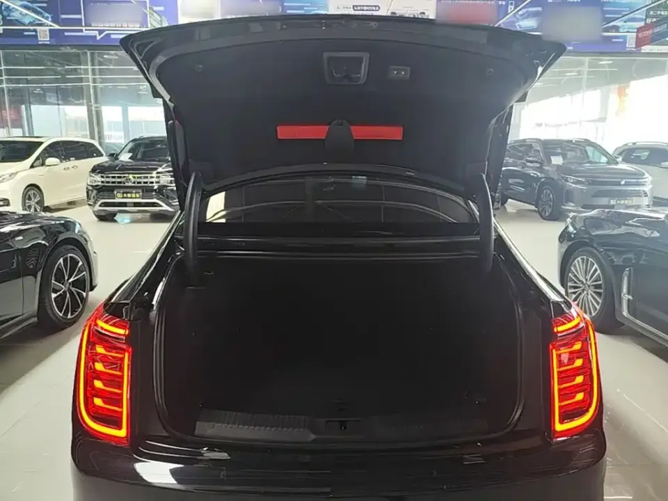 Hongqi Hongqi H9