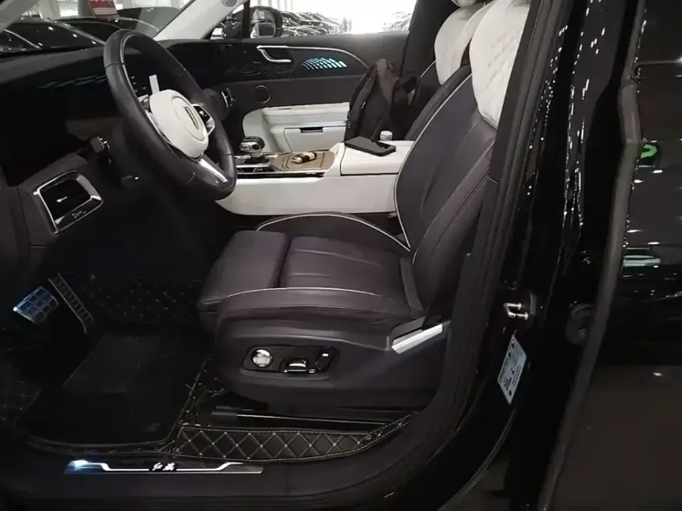 Hongqi Hongqi E-HS9