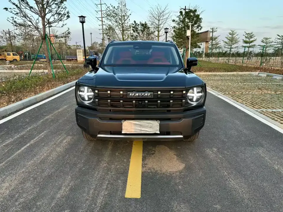 Haval Cool Dog