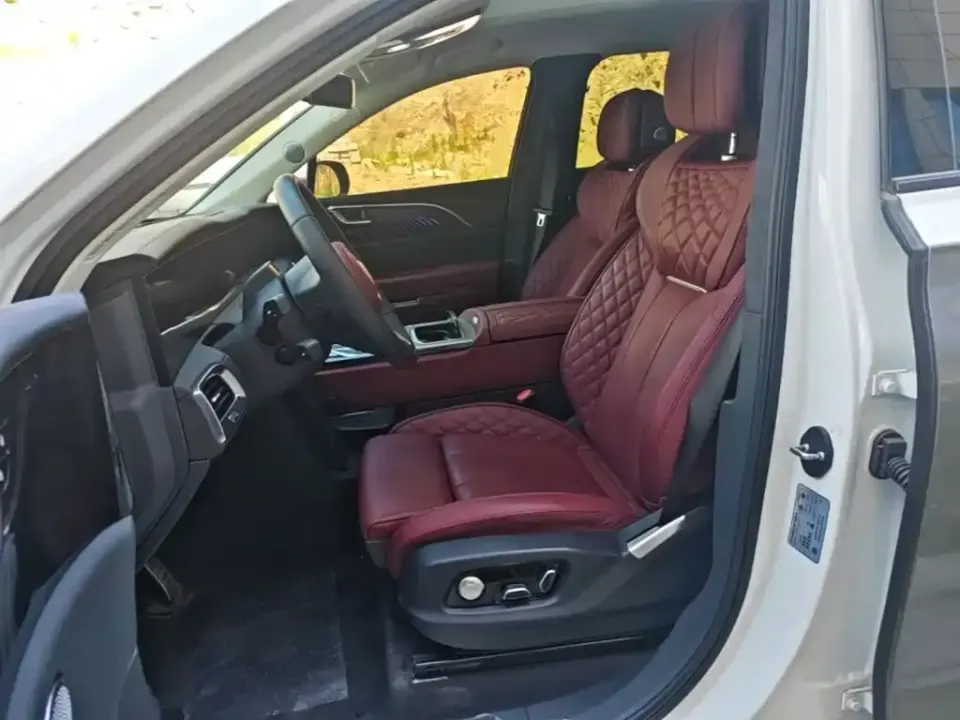 Hongqi Hongqi E-HS9