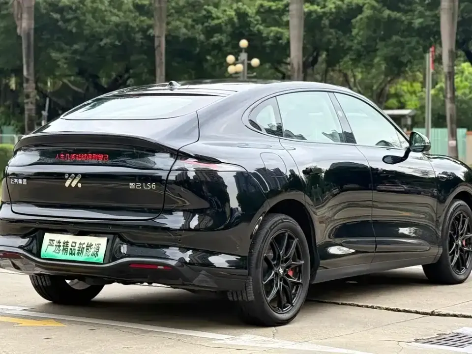 IM Motors IM LS6