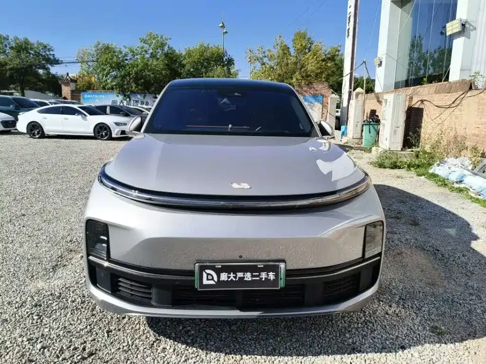 Li Li L8