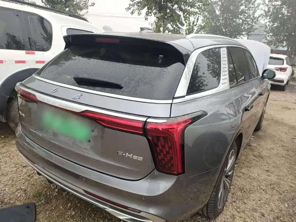 Hongqi Hongqi E-HS9