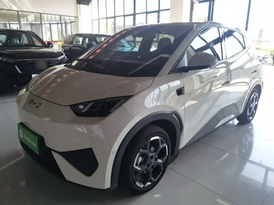 BYD Seagull