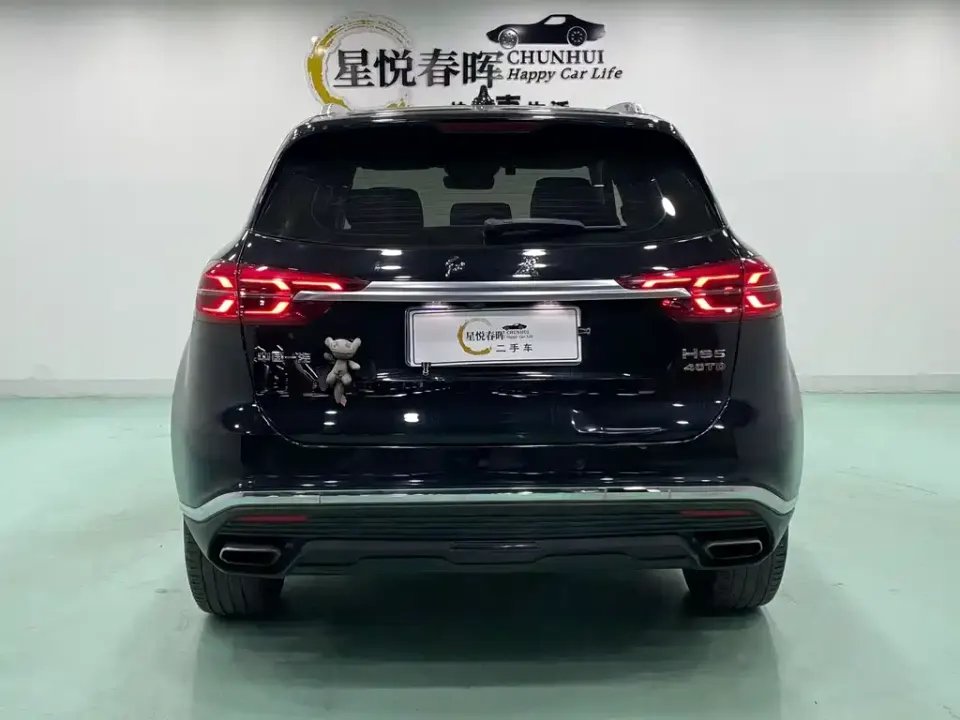 Hongqi Hongqi HS5