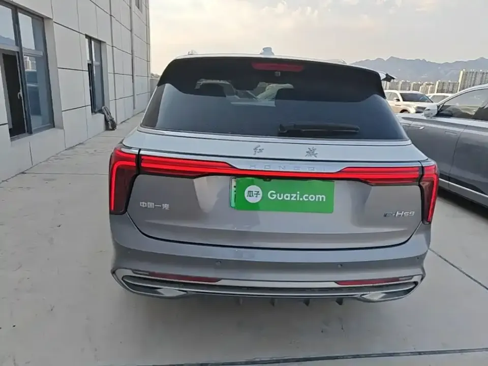 Hongqi Hongqi E-HS9