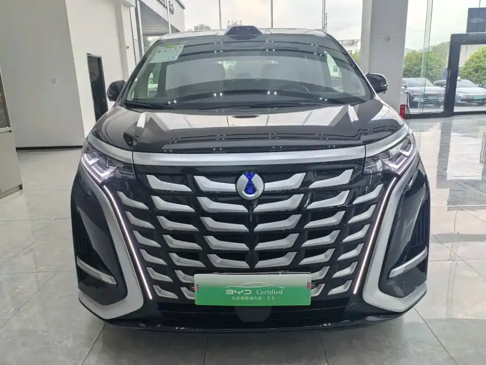 Denza Denza D9