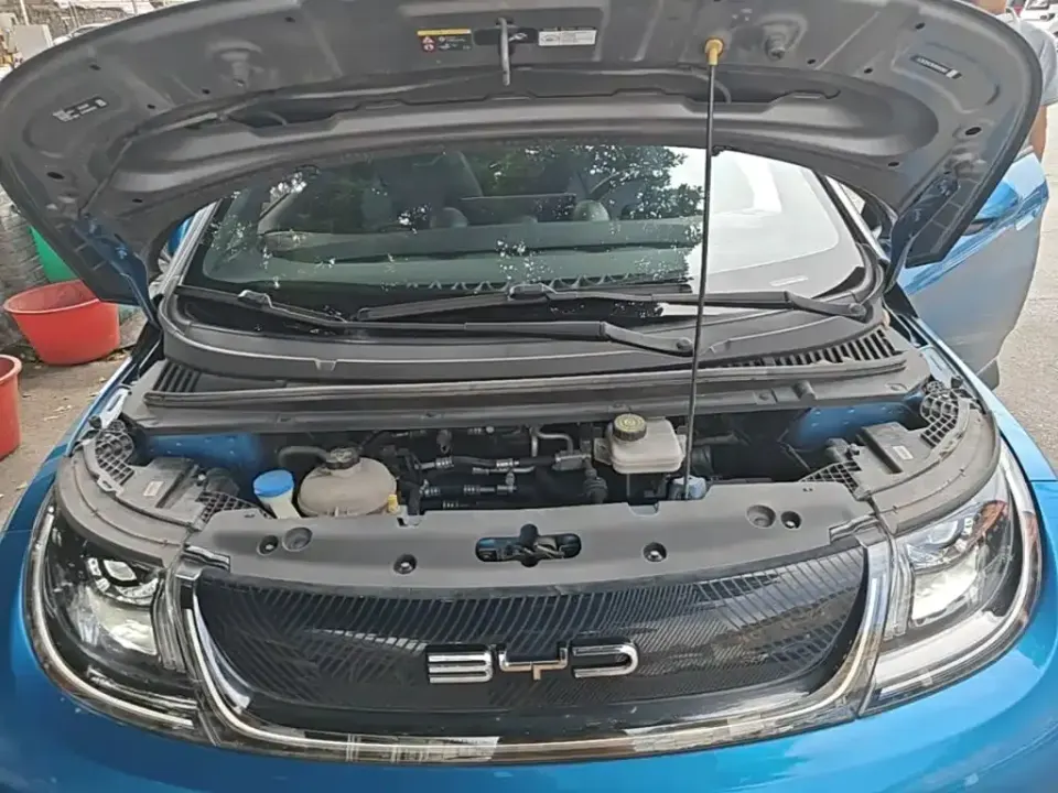 BYD Dolphin