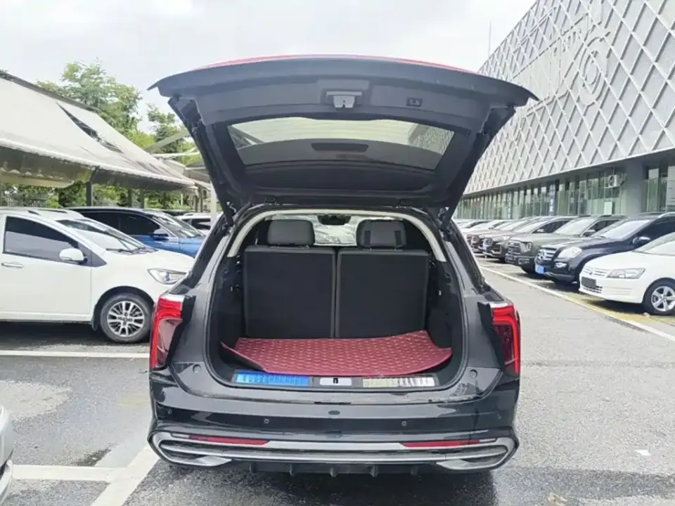 Hongqi Hongqi E-HS9