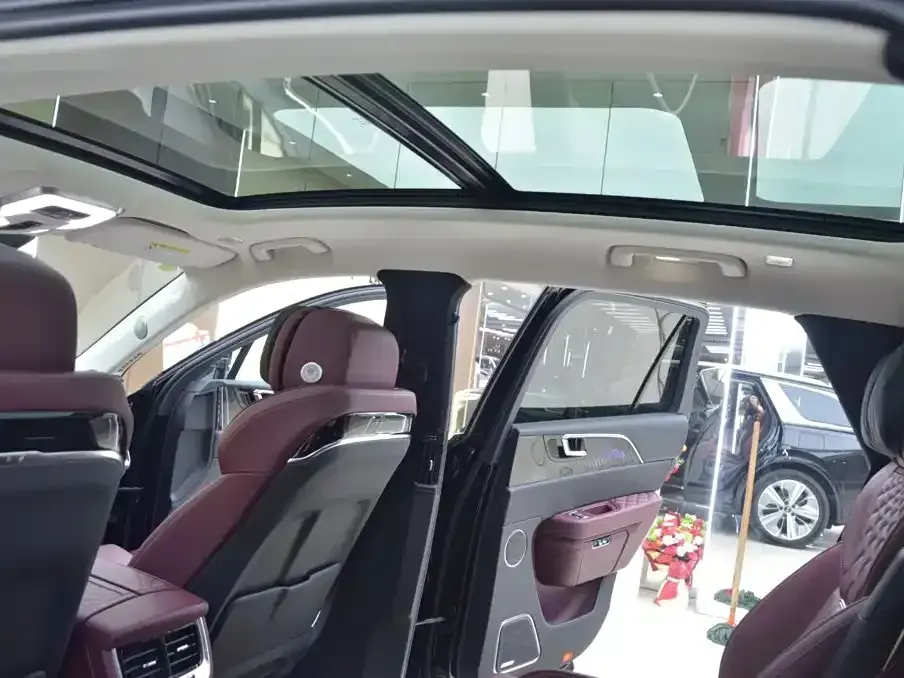 Hongqi Hongqi E-HS9