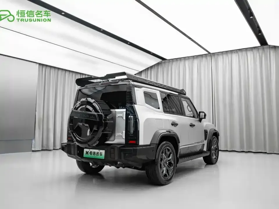 Shanhai Traveller C-DM