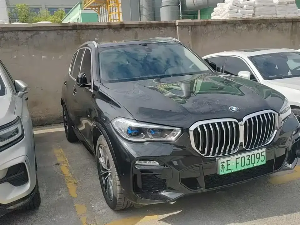 BMW X5 New Energy (Import)