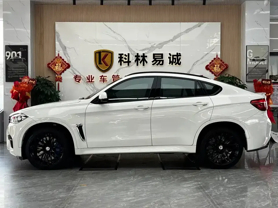 BMW X6 M