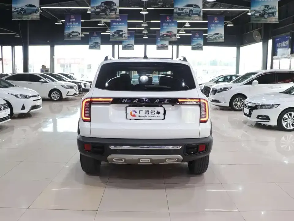 Haval Big Dog