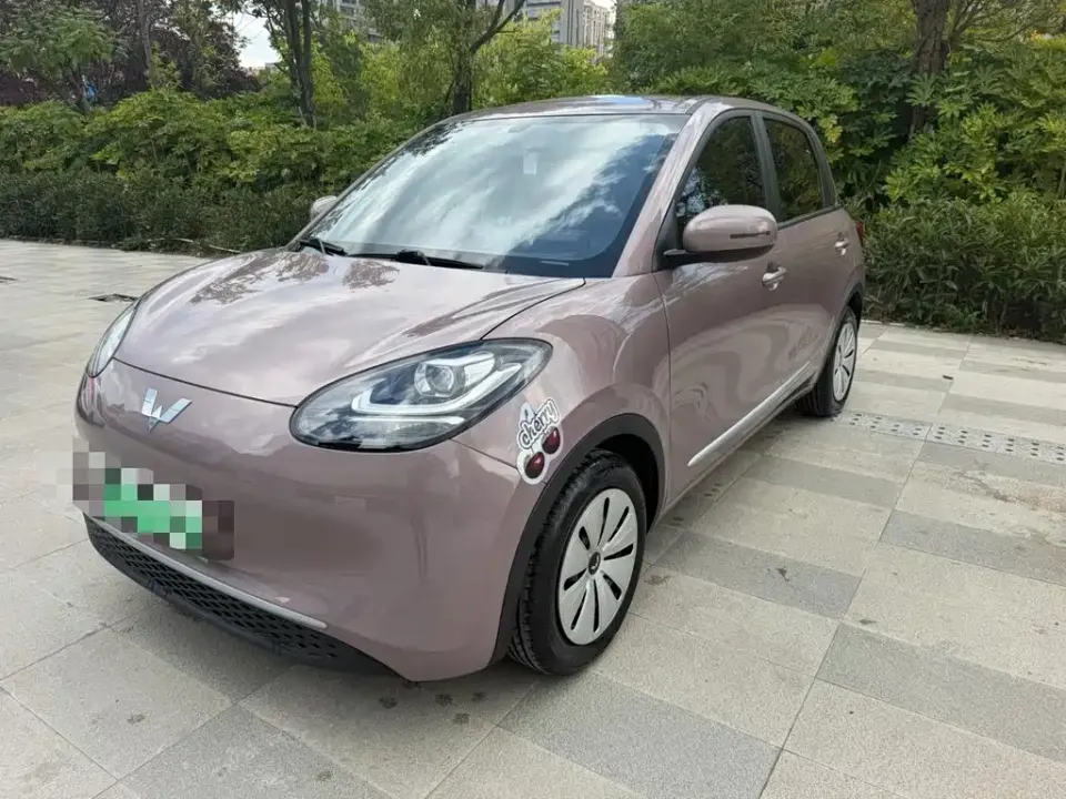 Wuling Bingo