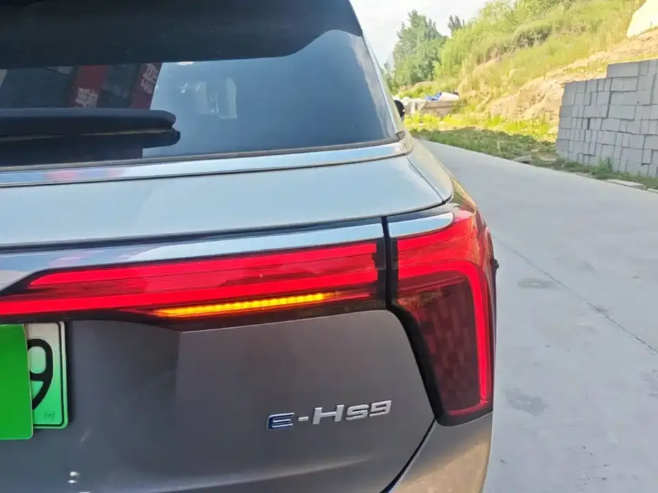 Hongqi Hongqi E-HS9