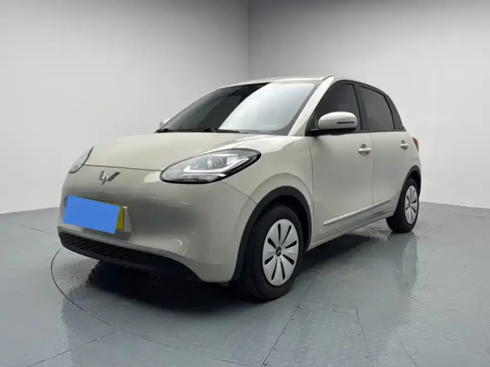 Wuling Bingo