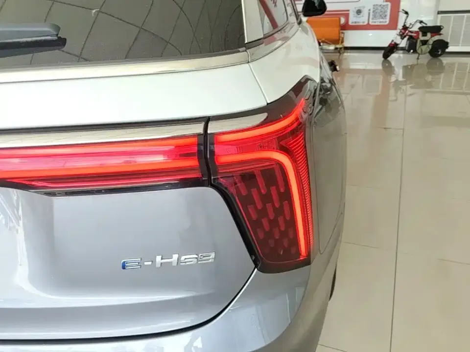 Hongqi Hongqi E-HS9